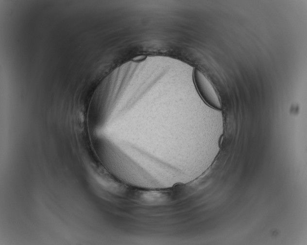 X0000093730183200711061009