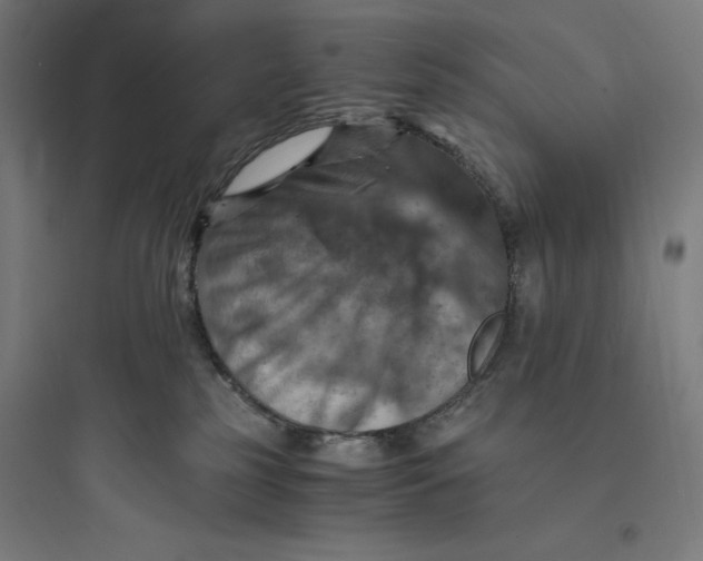 X0000093730185200711061009