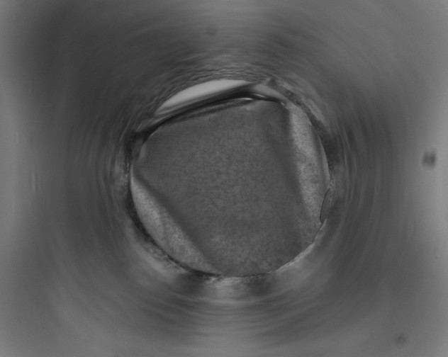 X0000093730186200711061009