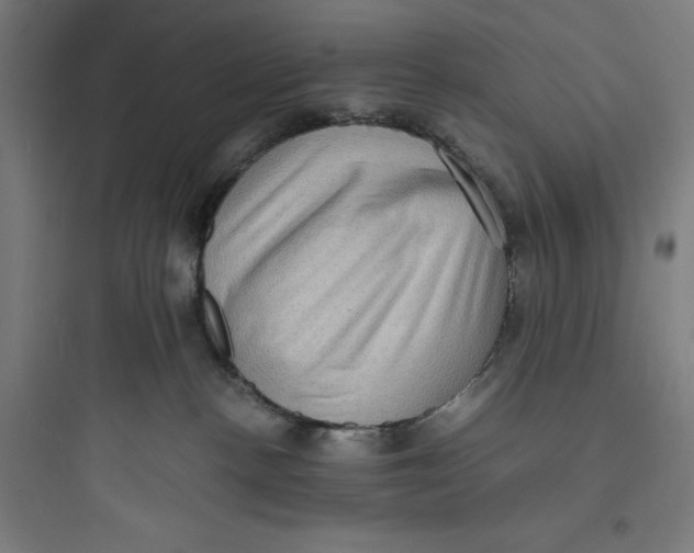 X0000093730188200711061009