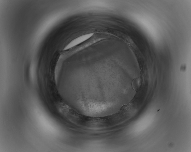 X0000093730189200711061009