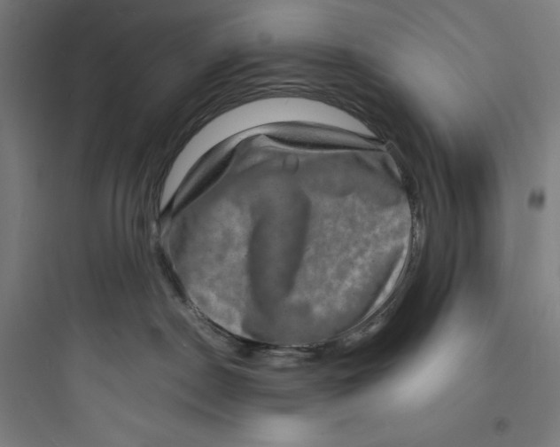 X0000093730190200711061009