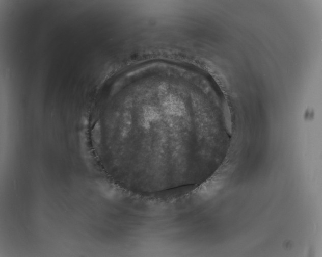 X0000093730192200711061009