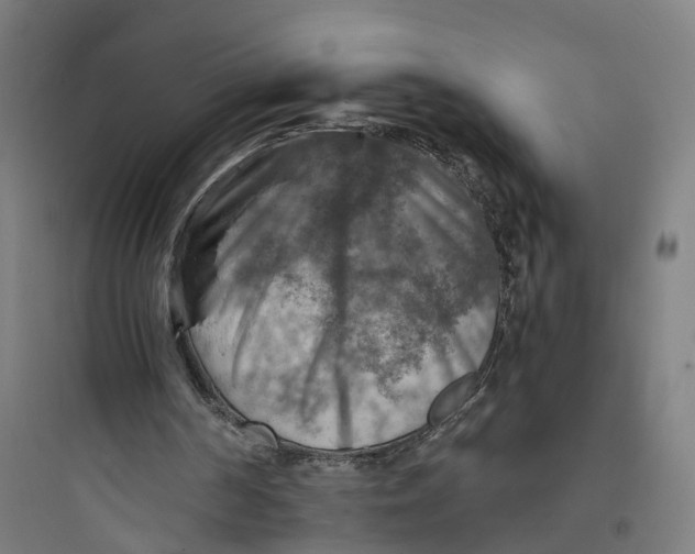 X0000093730194200711061008