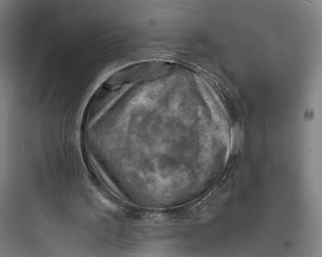 X0000093730195200711061008