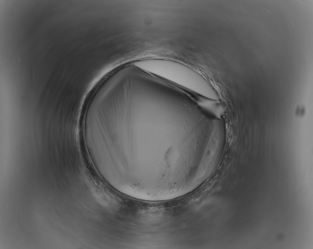 X0000093730196200711061008