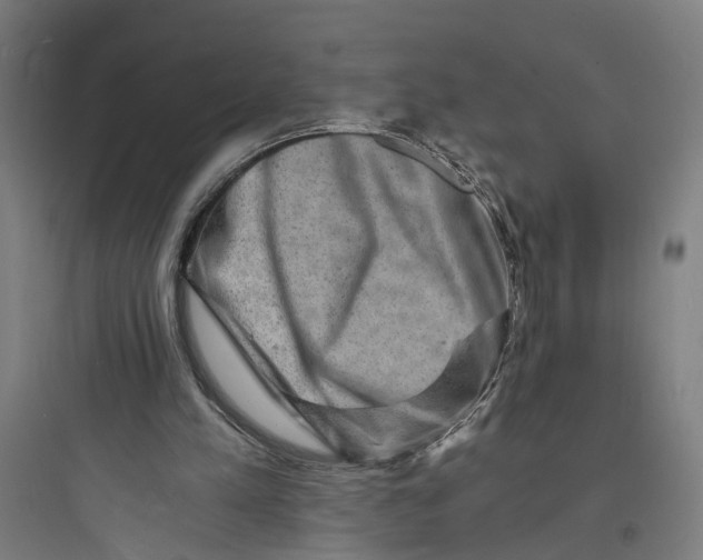 X0000093730197200711061008