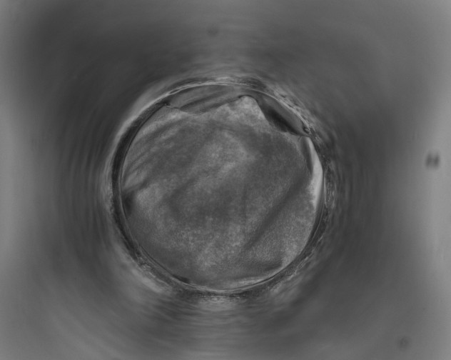 X0000093730198200711061008