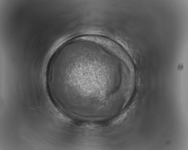 X0000093730199200711061008