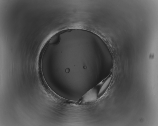 X0000093730200200711061008