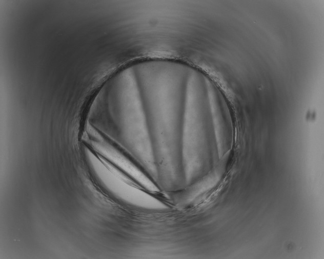 X0000093730201200711061008