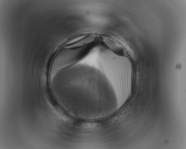 X0000093730202200711061008