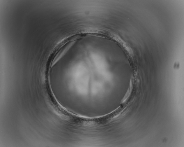 X0000093730203200711061008