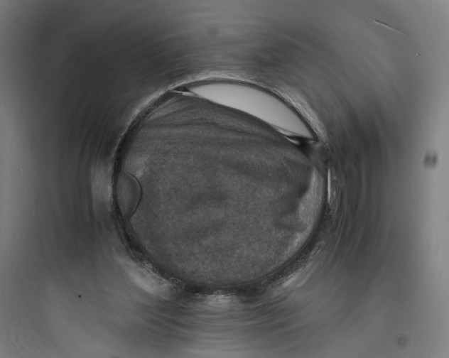 X0000093730204200711061008