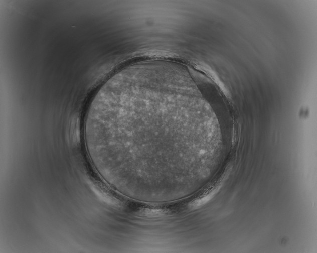 X0000093730205200711061008