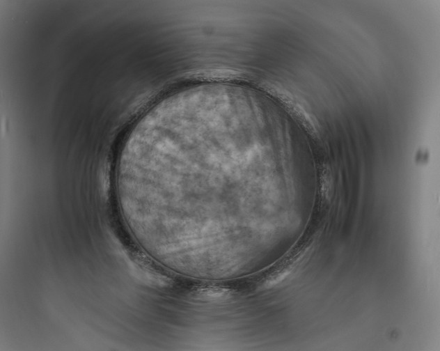 X0000093730206200711061008