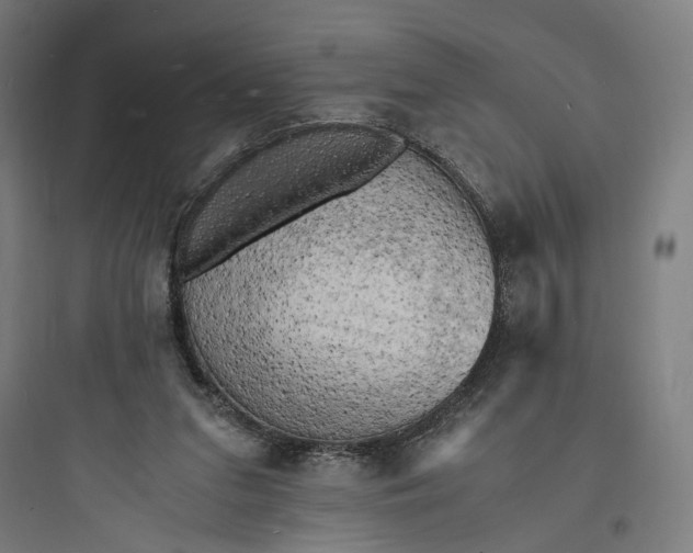 X0000093730207200711061008