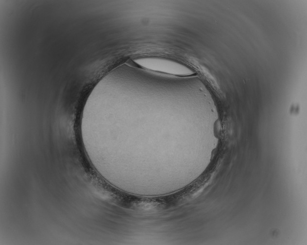 X0000093730209200711061008