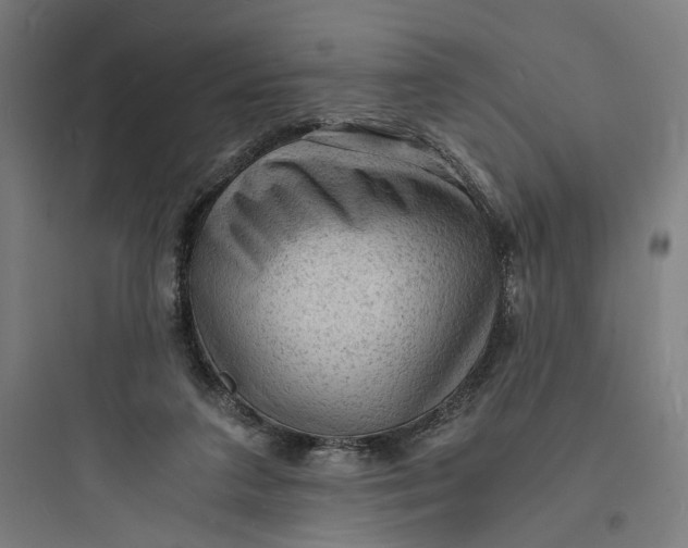 X0000093730211200711061008