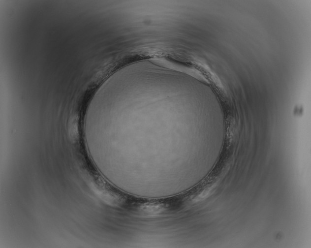 X0000093730213200711061008