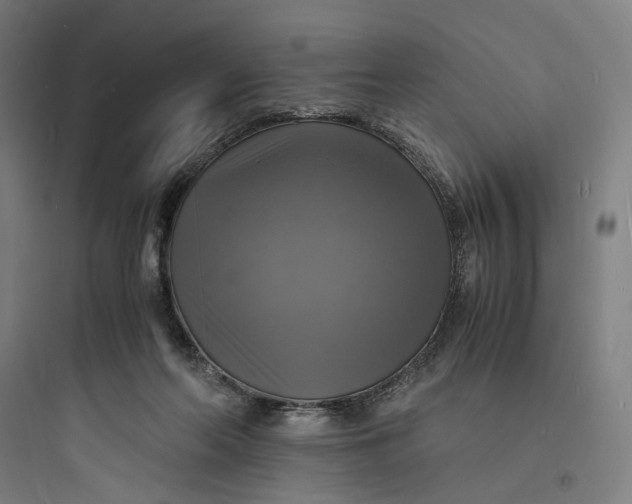 X0000093730214200711061008