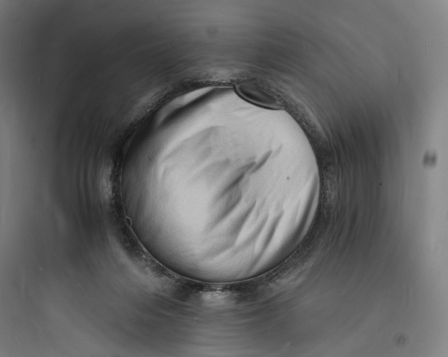 X0000093730216200711061008