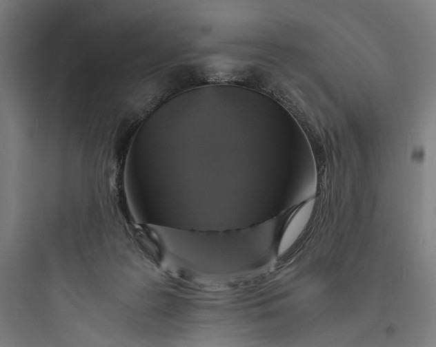 X0000093730219200711061008