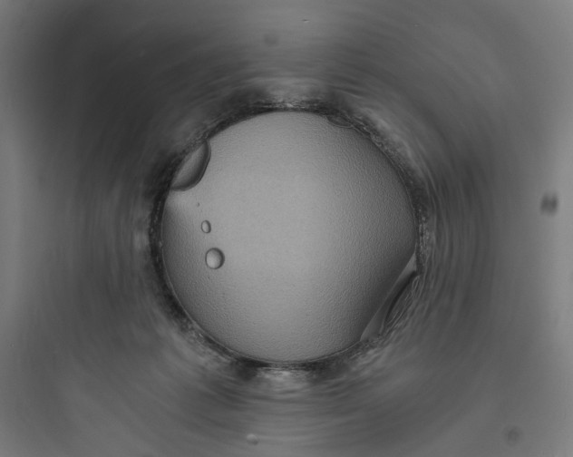 X0000093730221200711061008