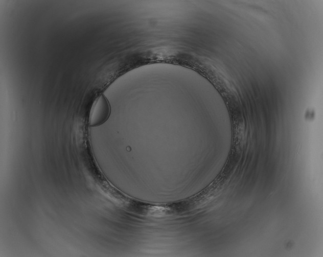 X0000093730222200711061008