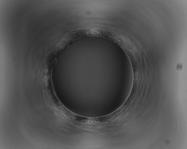 X0000093730223200711061008