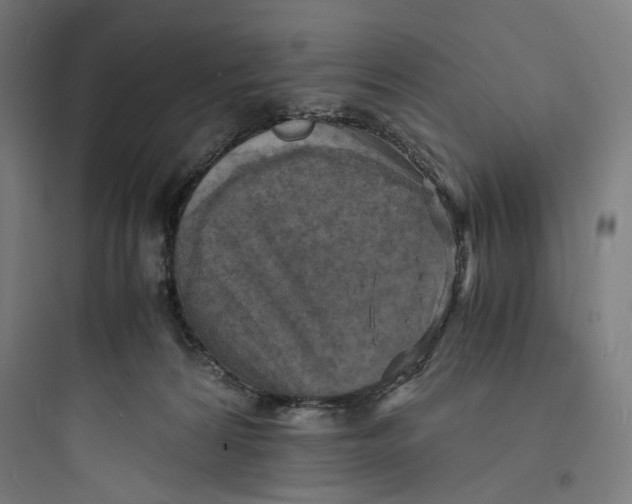 X0000093730224200711061008