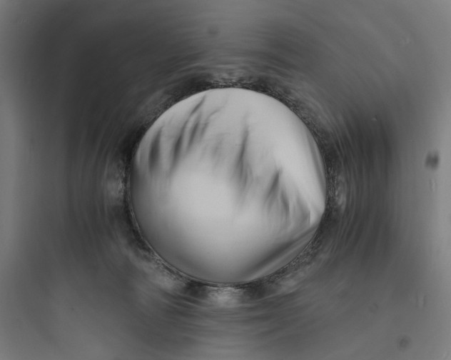 X0000093730226200711061008