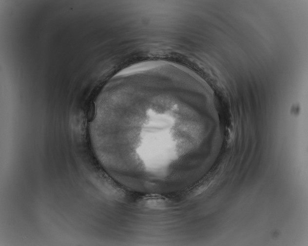 X0000093730228200711061008