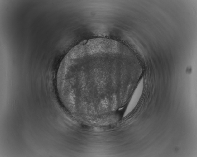 X0000093730229200711061008