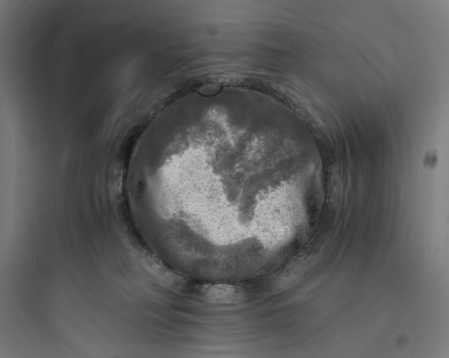 X0000093730230200711061008