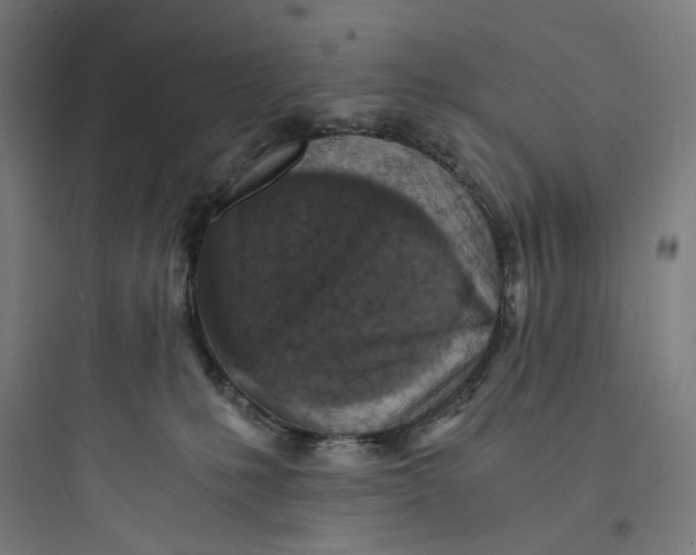 X0000093730231200711061008