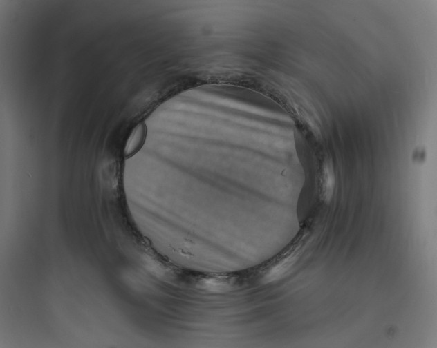 X0000093730232200711061008