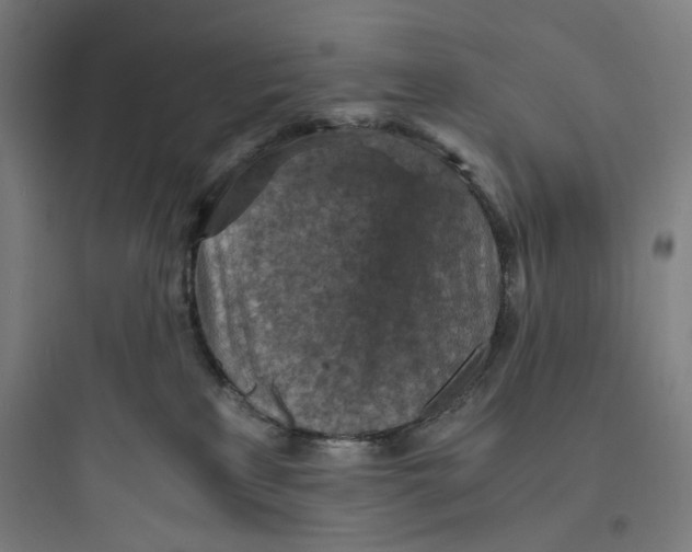 X0000093730233200711061008