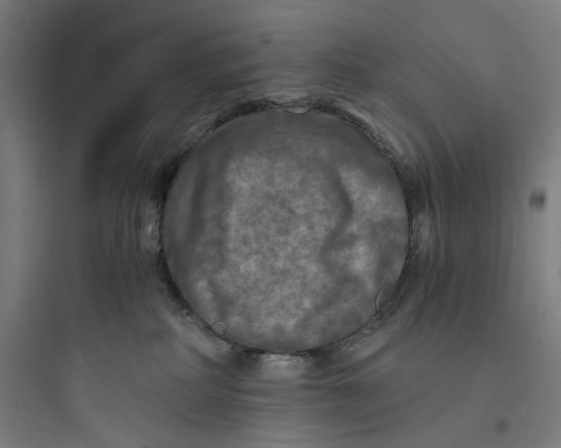 X0000093730234200711061008