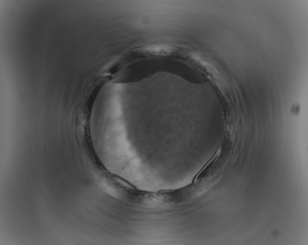 X0000093730235200711061008