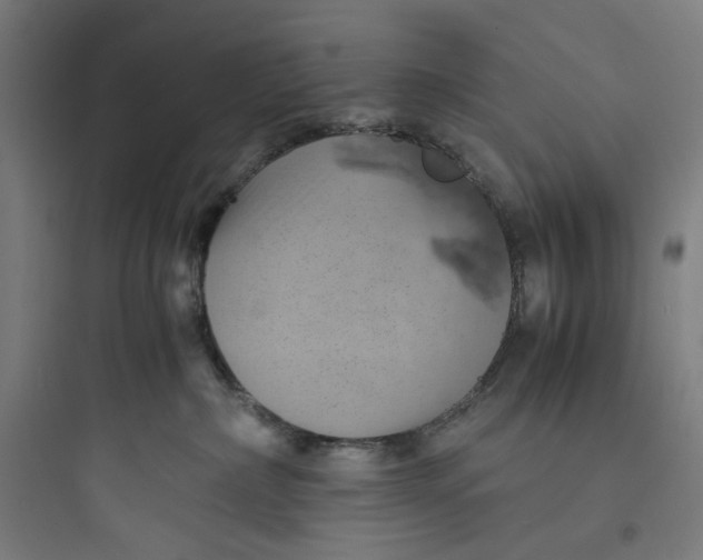 X0000093730236200711061008