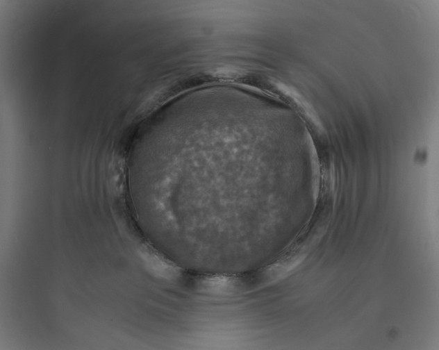 X0000093730237200711061008