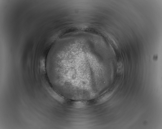 X0000093730238200711061008