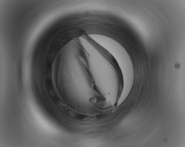 X0000093730239200711061008