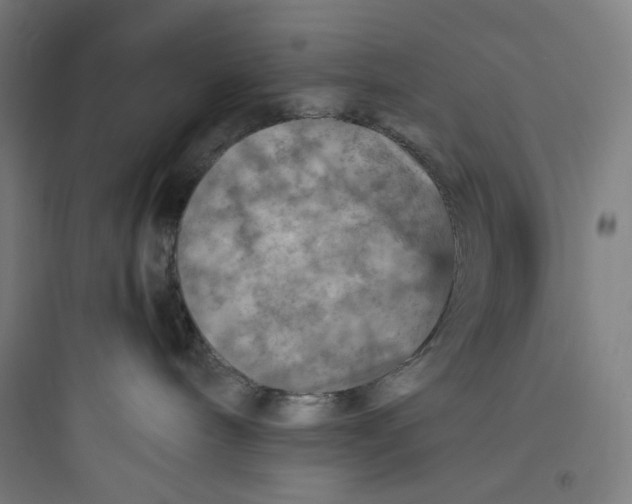 X0000093730240200711061008