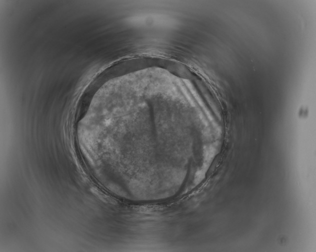 X0000093730241200711061007