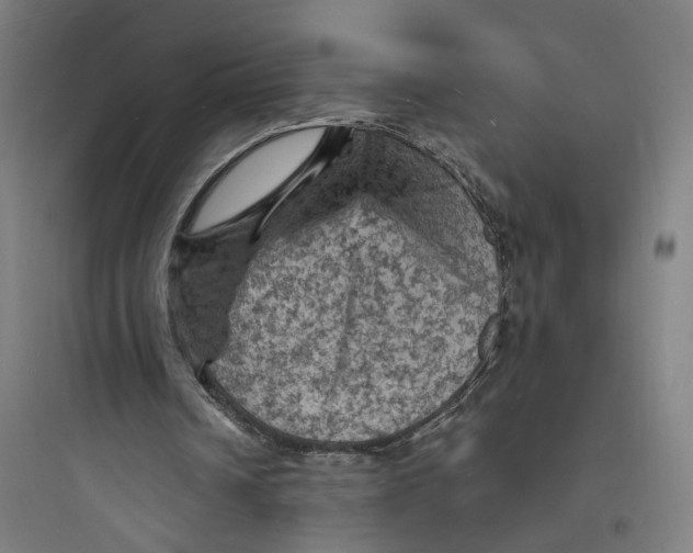 X0000093730242200711061007