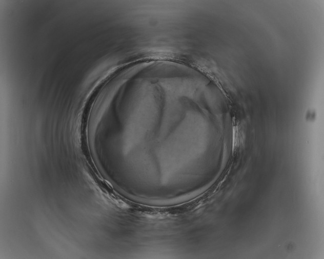 X0000093730243200711061007