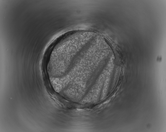 X0000093730244200711061007