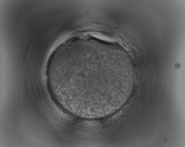 X0000093730245200711061007